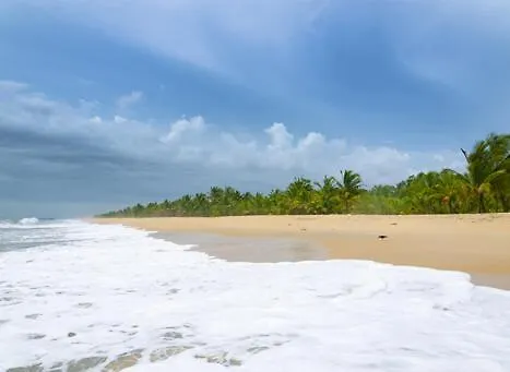 Marari Kallyani Beach Homestay Mararikulam