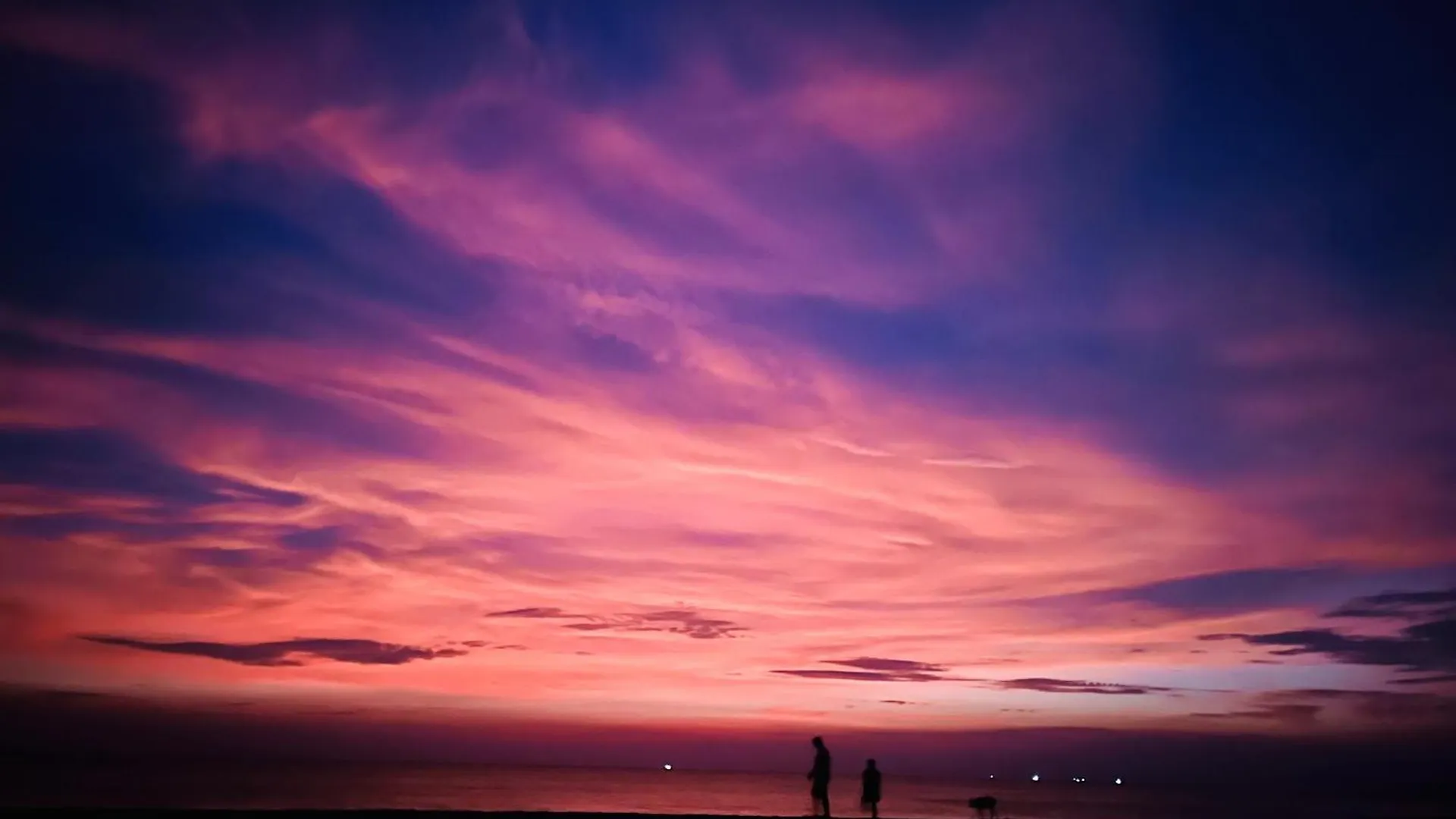 Marari Kallyani Beach Homestay Mararikulam India